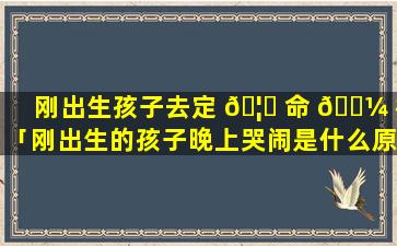 刚出生孩子去定 🦅 命 🐼 格「刚出生的孩子晚上哭闹是什么原因」